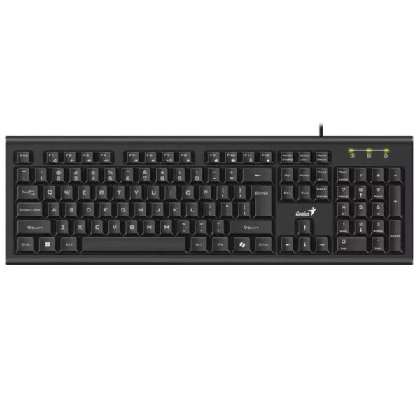 Teclado Genius Usb Kb-113 Botón Copilot